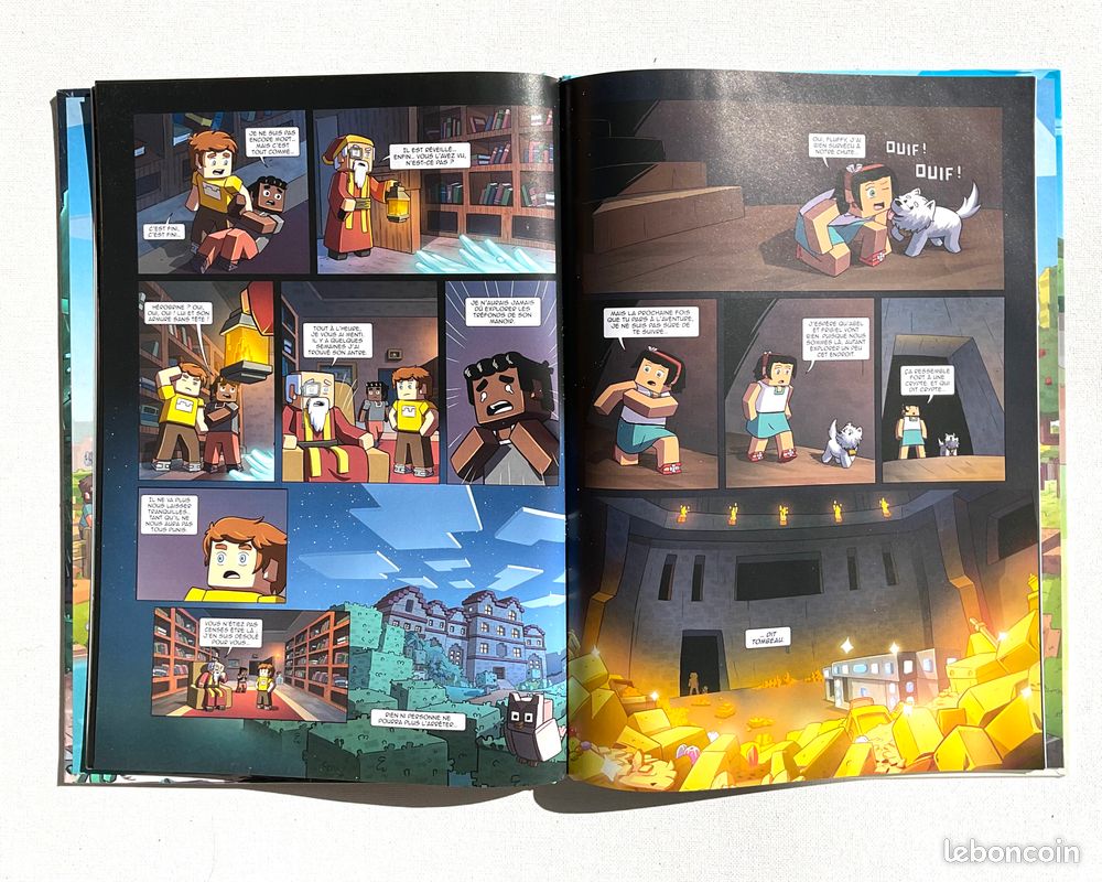 👦👧 🧑👩 Enfant/Ado: BD Minecraft "Frigiel et Fluffy" Tome 6 (image 2)