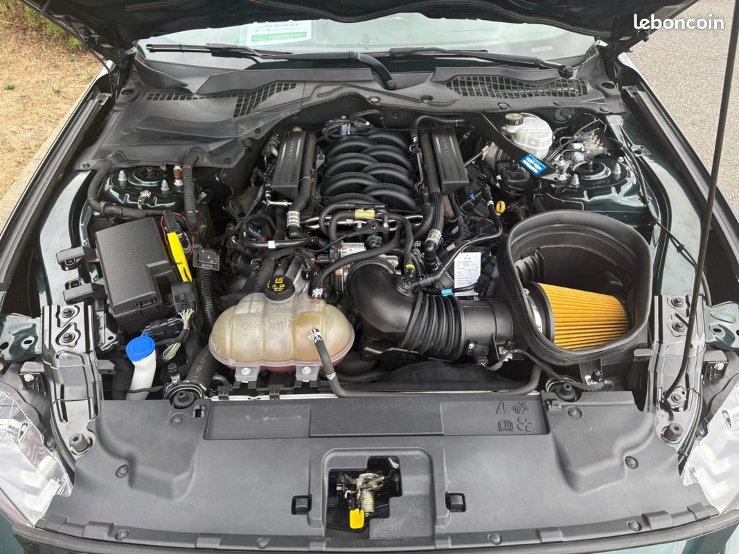 Ford mustang bullitt v8 5.0l - recaro + magneride (image 20)