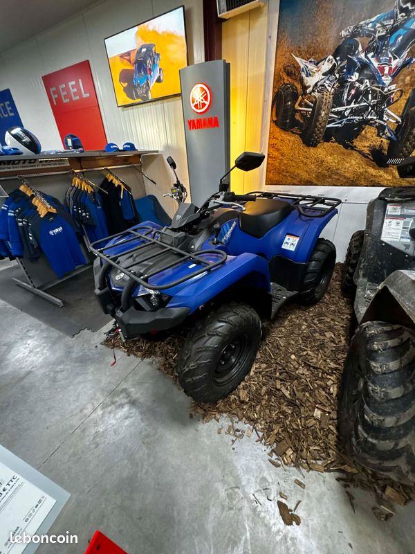 Yamaha kodiak 450 démonstration (image 3)