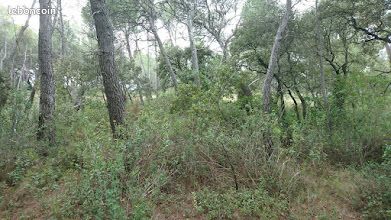 Terrain à Pélissanne quartier du Pesquier · 10 000 €