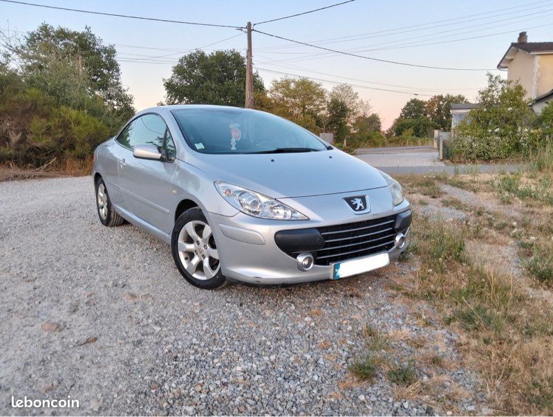 307 1.6 16v (image 1)