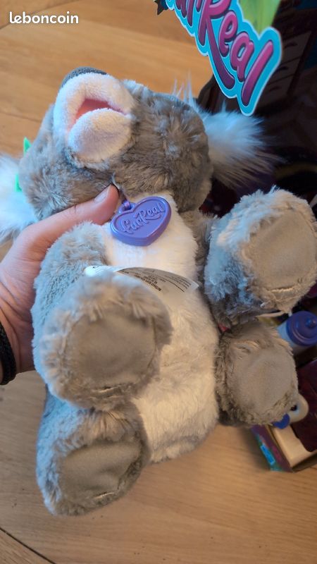 Koala Kristy đš (image 4)