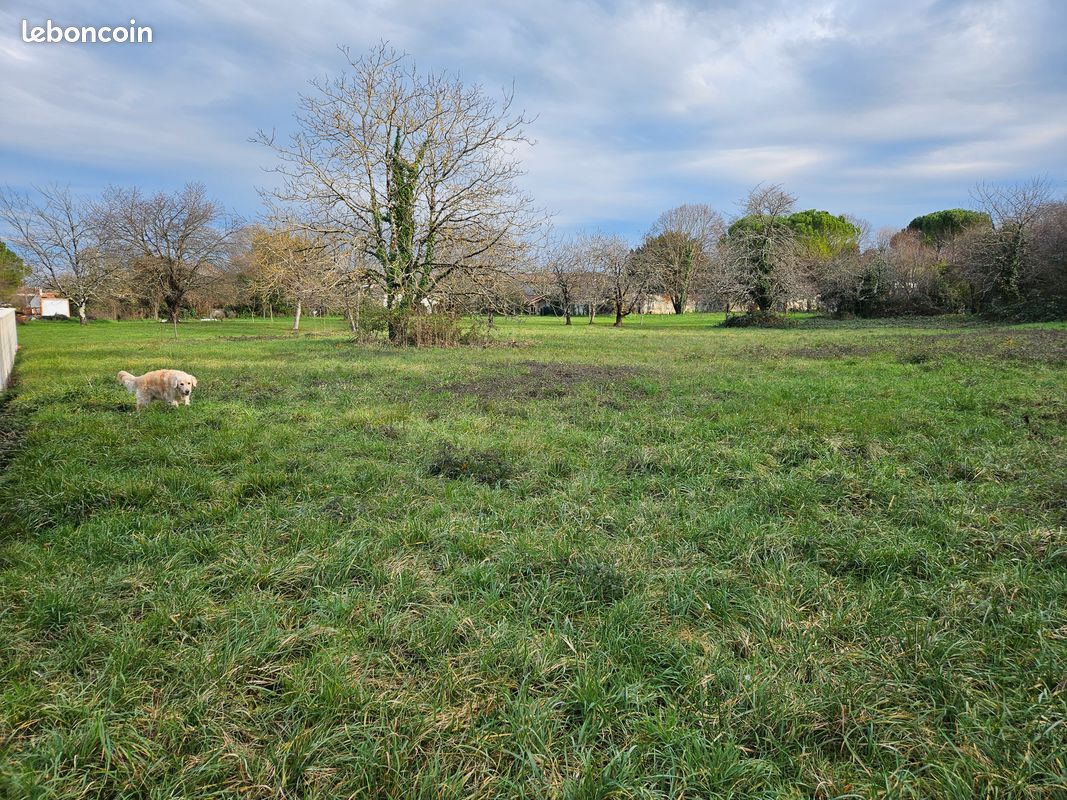 Terrain à construire · à Chassors · 25 000 €