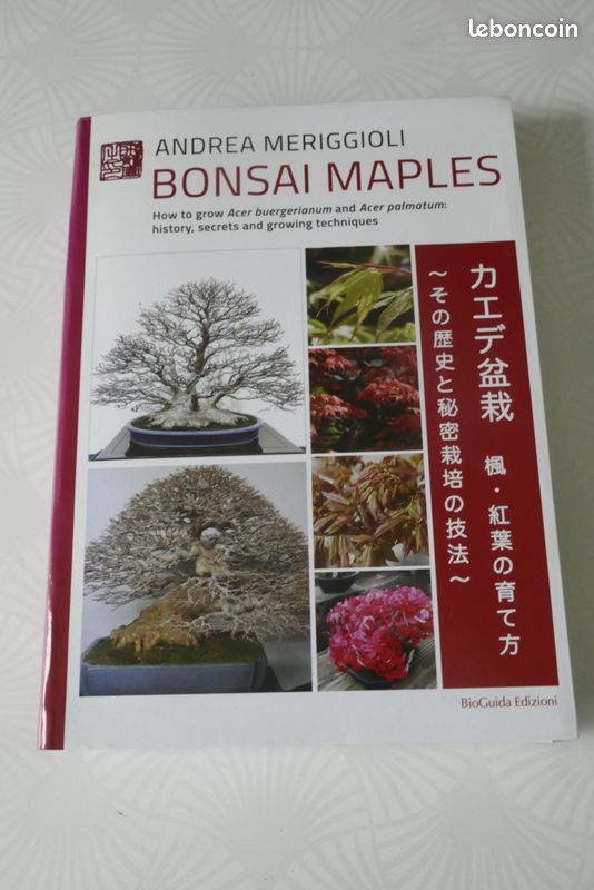 Livre Bonsai Mapples d'Andrea Meriggioli (image 1)
