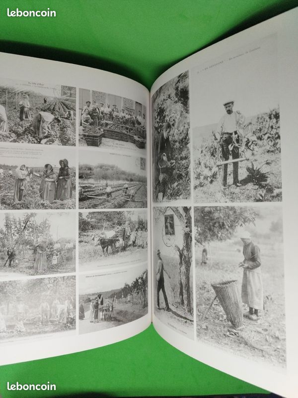 Métiers d'antan à travers la carte postale ancienne (image 2)
