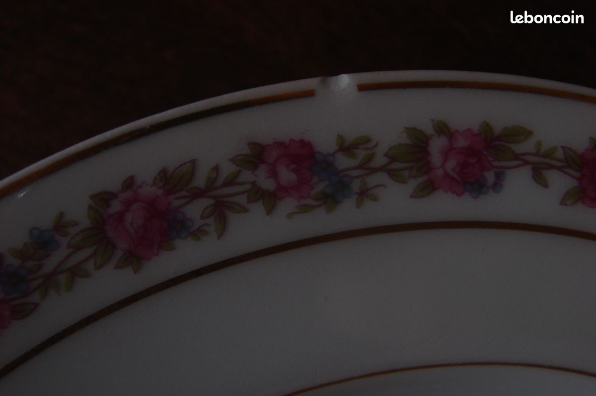 Service porcelaine de limoges charles field haviland 18 assiettes 1 soupiere - Arts de la table