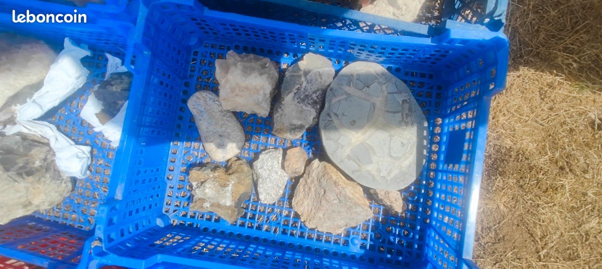 MINÉRAUX DIVERS (plus de 150 pièces) (image 11)