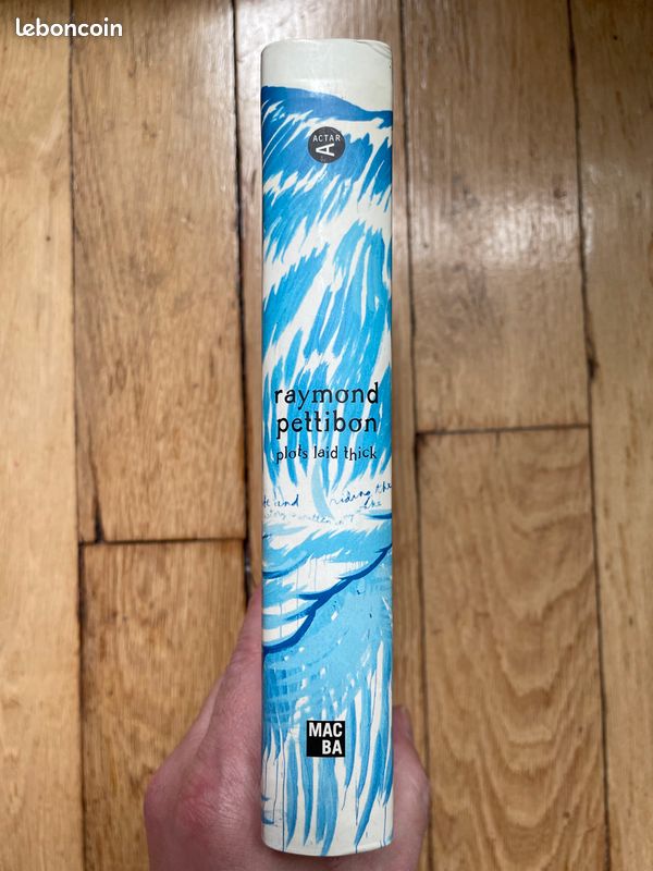 Raymond Pettibon : Plots Laid Thick, Catalogue MACBA 2002 (image 3)