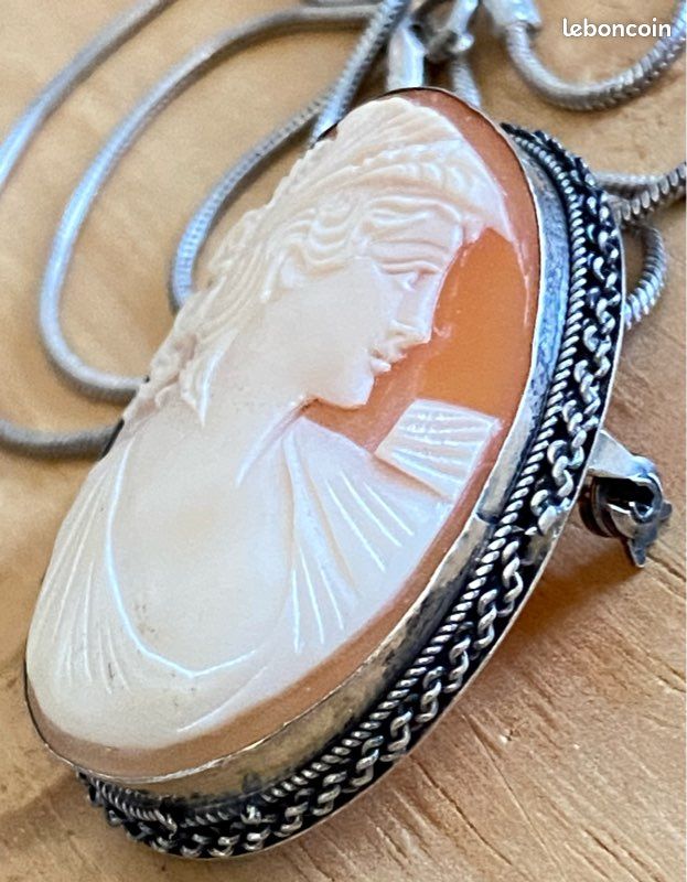 Collier Camé Argenté élégant, Sans Marque, Parfait Pour Un Style Discret Et Raffiné