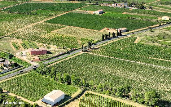 Terrain 249 m² Salles D Aude