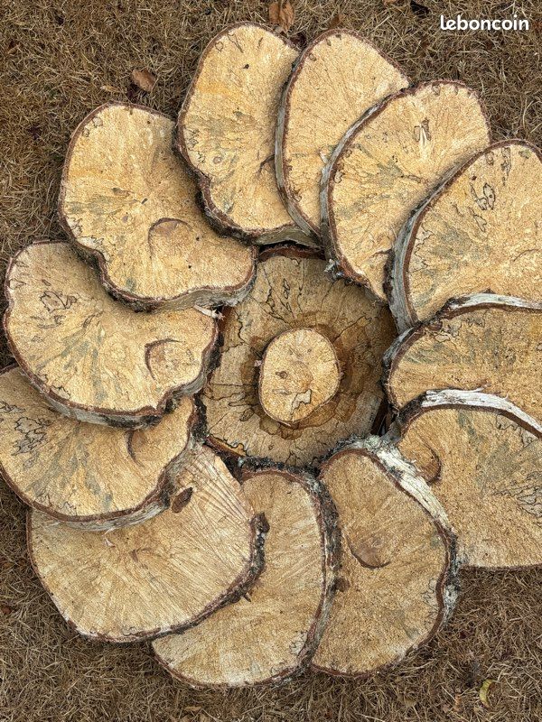Très grande rondelle de 34 cm (image 1)
