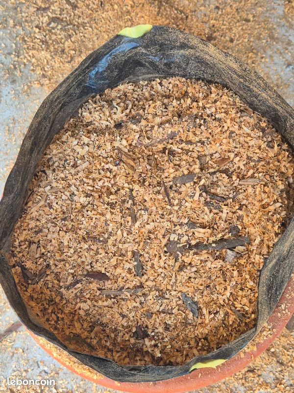 Sciure de bois non traité 30l (image 1)
