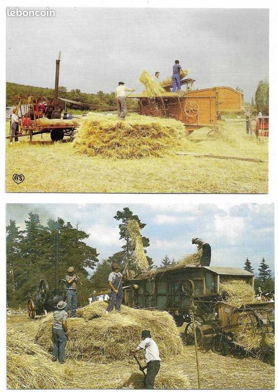 Scènes agricoles / BATTAGE, DEPIQUAGE de la moisson, fléau, batteuse : lot de 16 cartes postales différentes (image 3)