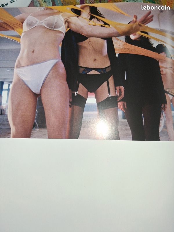 Roy stuart Livre 4 avec son dvd. The fourth body ou 110 le lot avec le V et son dvd (image 3)