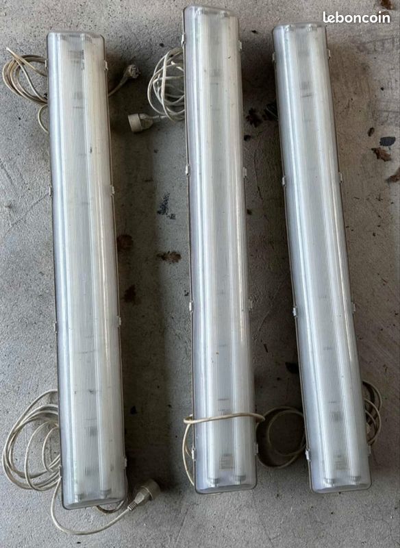Barnum 6 x 12m (image 16)