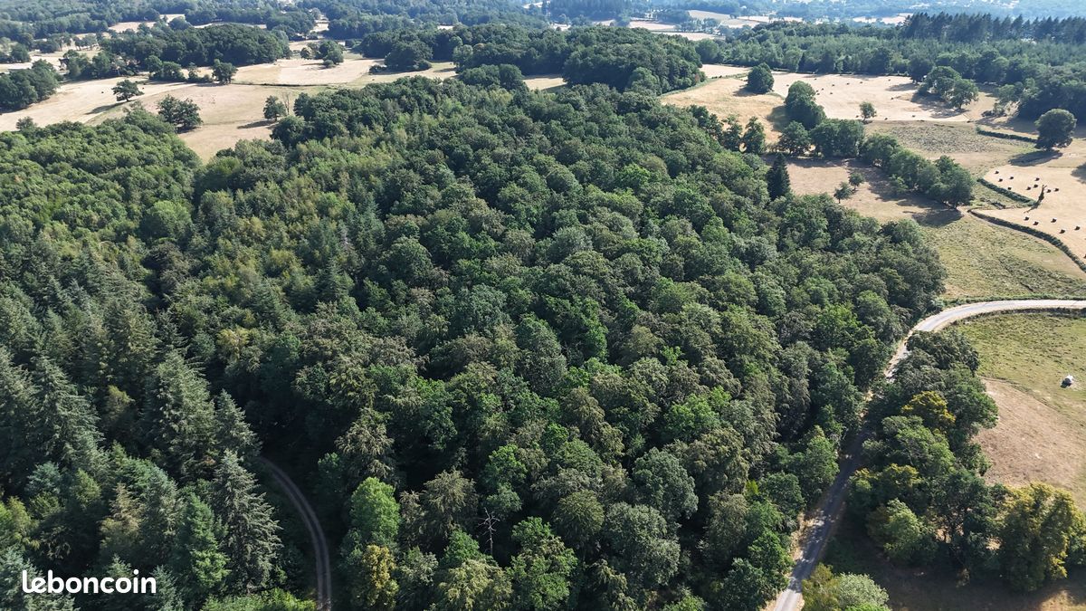 Forêt de production de 18,56 ha – Un patrimoine forestier d'exception en Creuse · à Felletin · 275 000 €