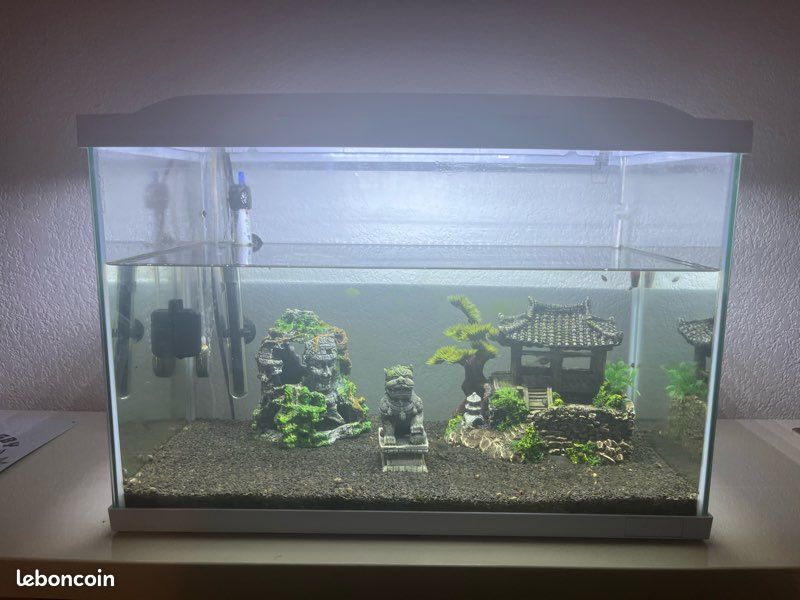 Aquarium Superfish (image 1)