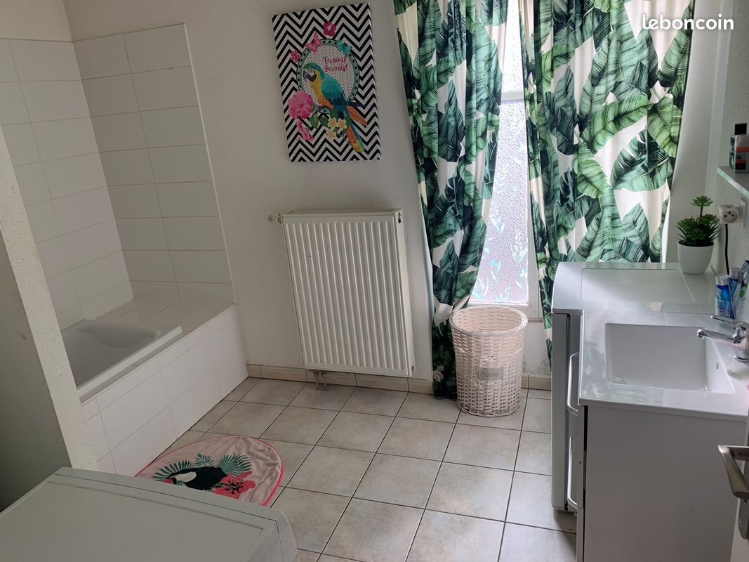 A louer f2 56m² (image 3)