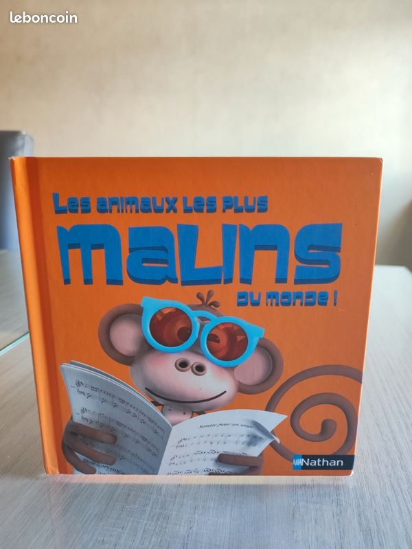 Les animaux les plus malins au monde (image 1)
