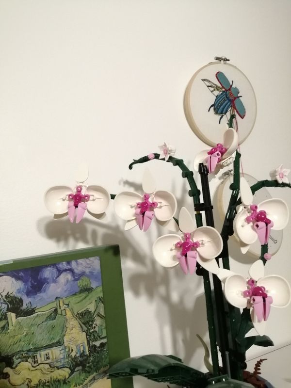 Orchidee lego jeux, jouets d'occasion - leboncoin