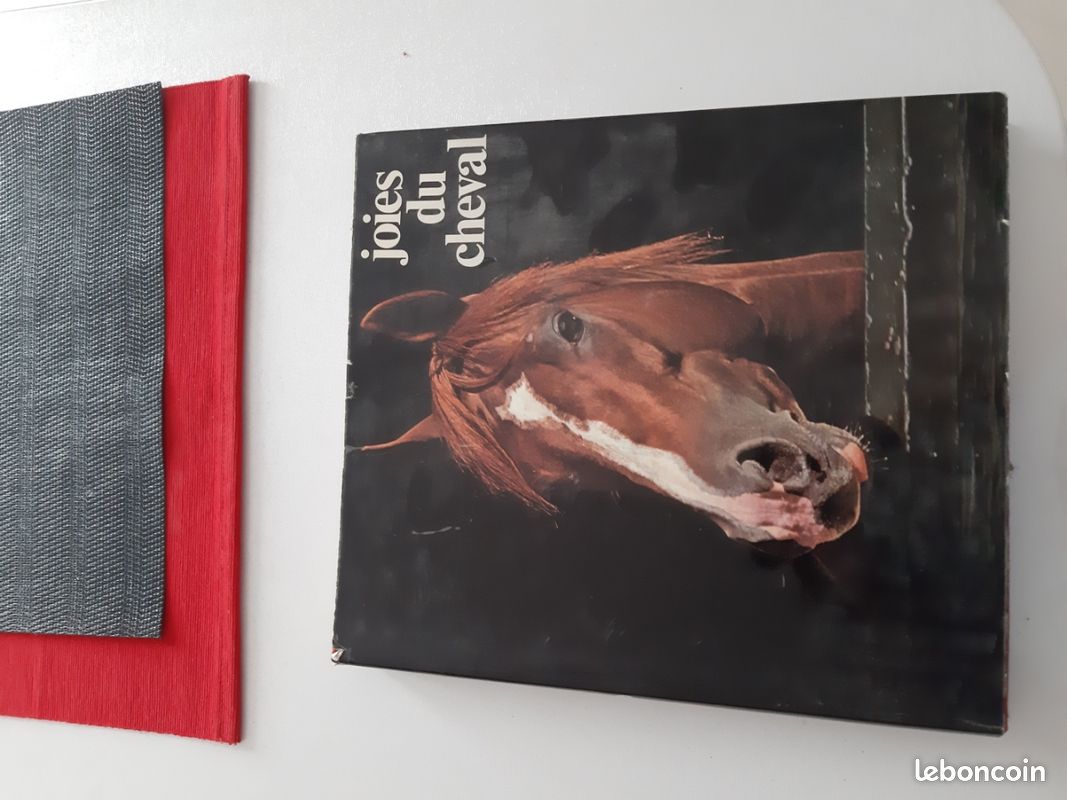 Livre Joie du cheval (image 1)