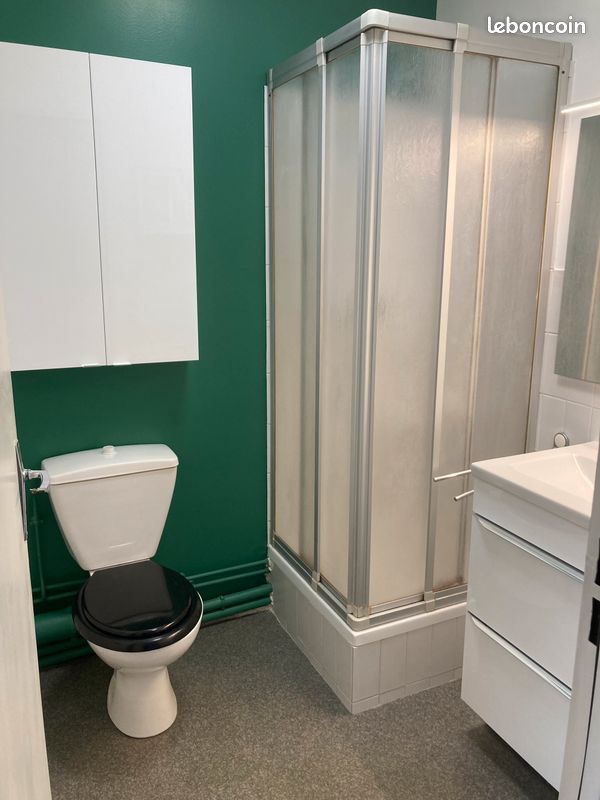 Studio 31 m2 refait à neuf - Poitiers 86000 (image principale 1)