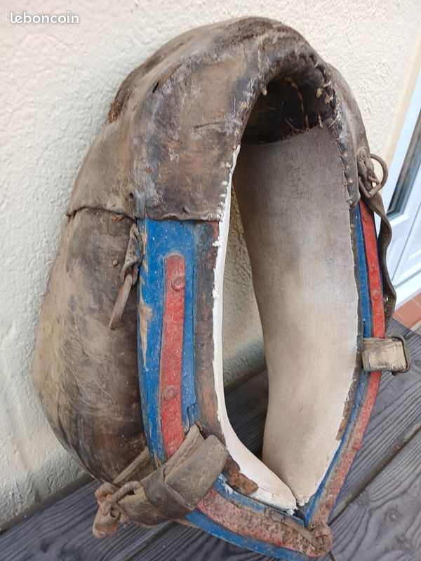 Collier de cheval (image 3)