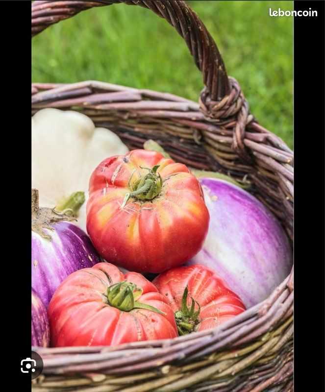 Location /potager · à Trèbes · 100 €