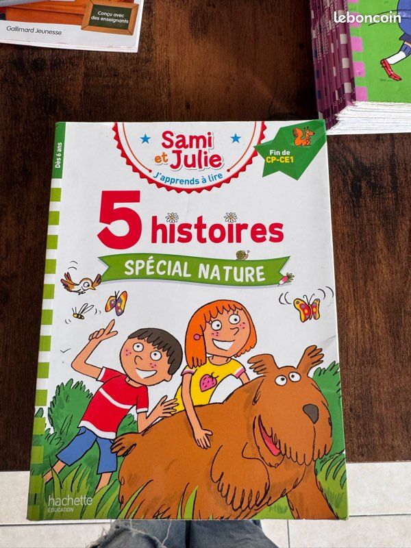 Lot livres enfant 6 à 9 ans (image 4)