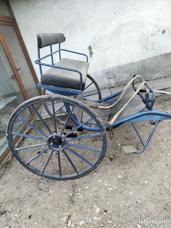 Calèche deux roues cheval (image 1)