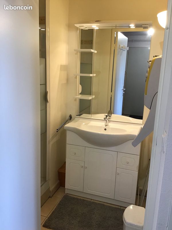 T2 Cabine - 35 m² - 4 à 6 personnes - classé 2 étoiles (image 11)