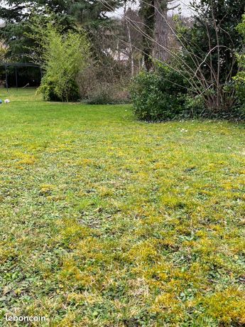 Terrain 962 m² Ézanville