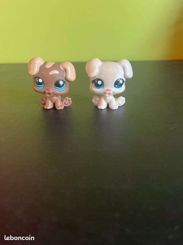Petshop chiots (image 1)