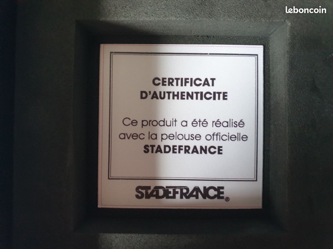 Exceptionnelle Pelouse du Stade de France (image 2)