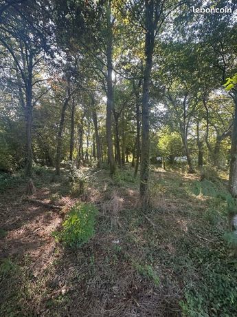 Terrain 1 227 m² Orcet