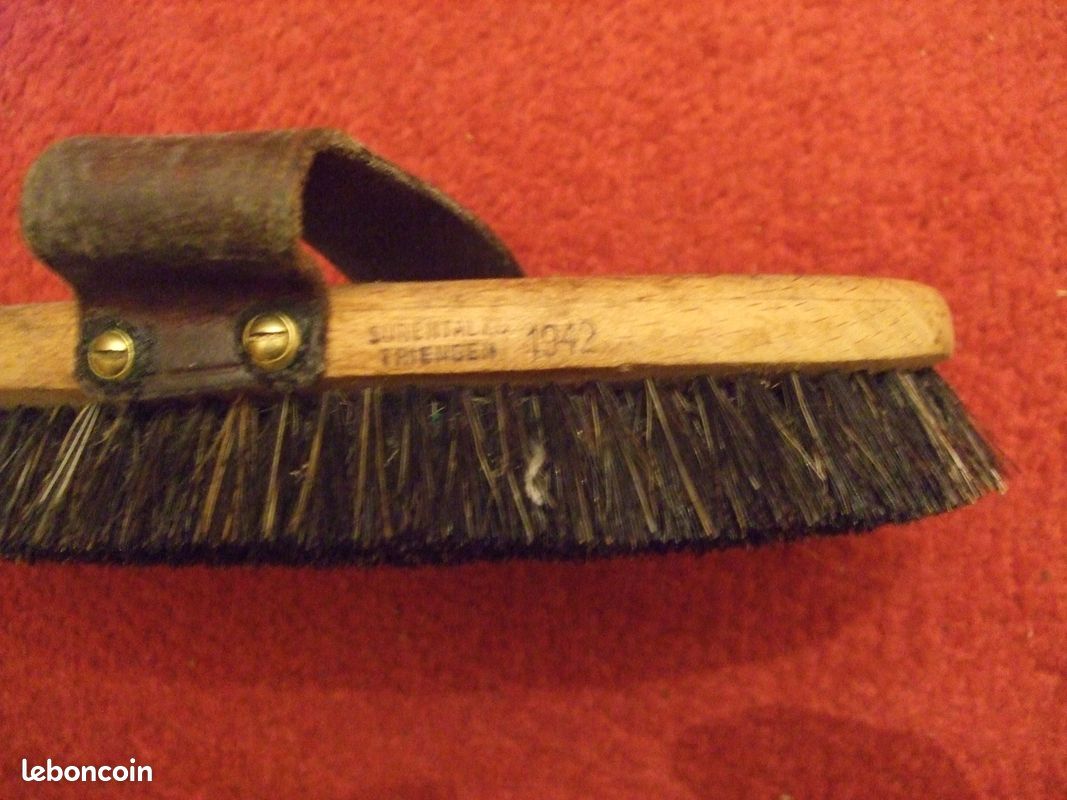 Top 10 des meilleures brosses pour chien à poils courts