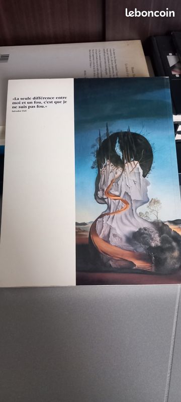 Livre Salvador Dalí (image 2)
