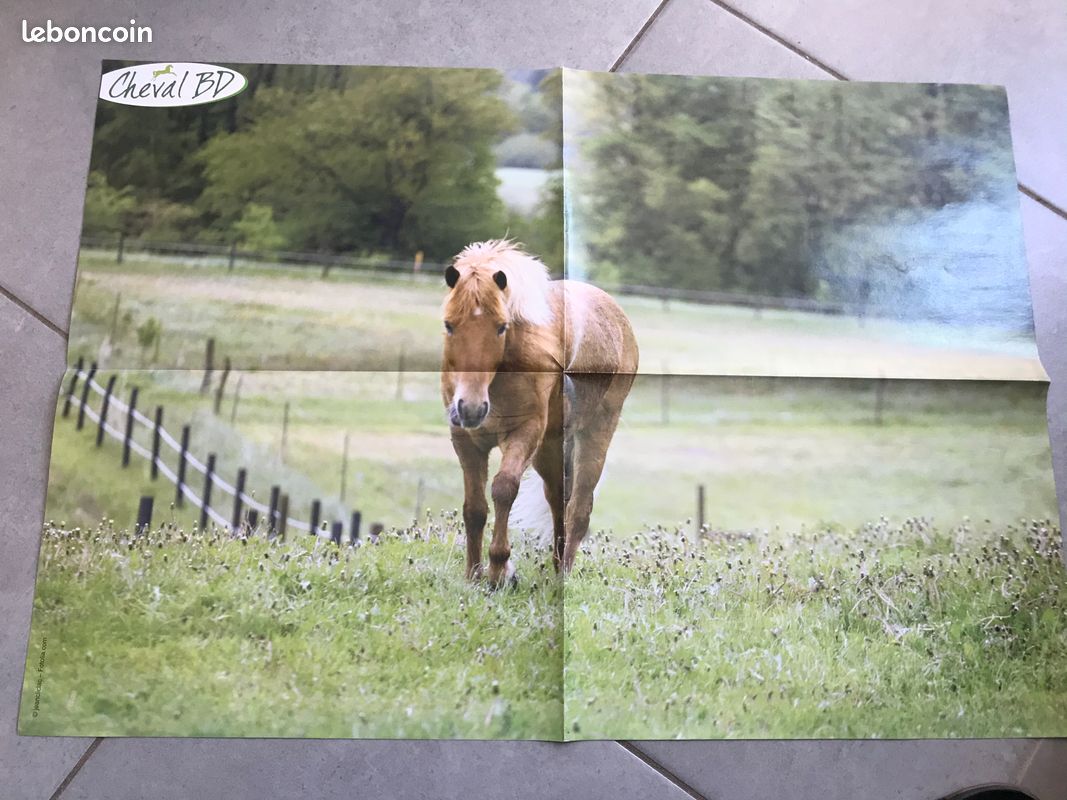 Poster cheval (image 1)