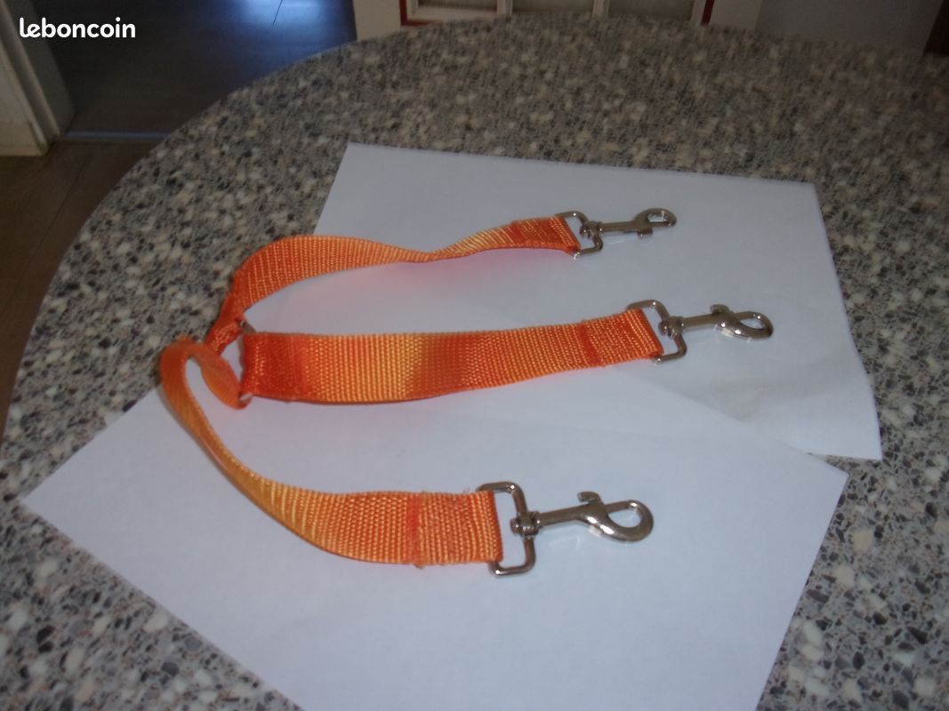 Attache pour 3 chiens (image 1)