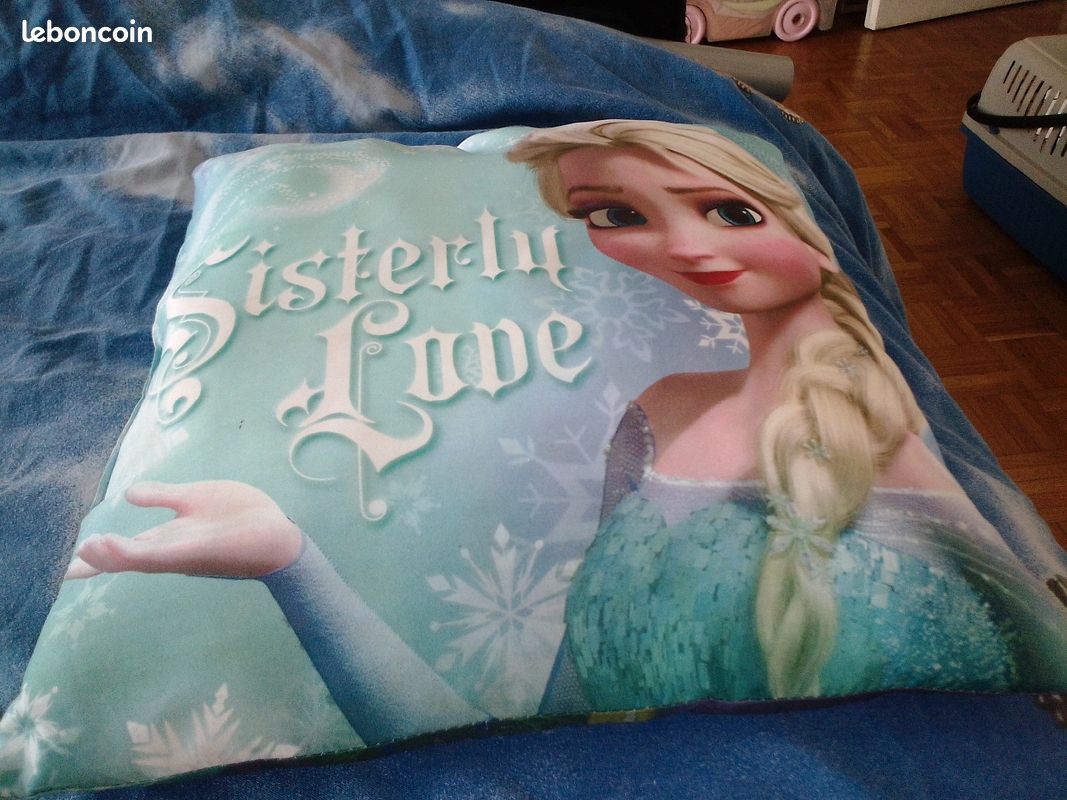 Le lot coussin de reine des neiges plus t-shirt de reine des neiges ensemble ensemble plus robe Barb (image 1)