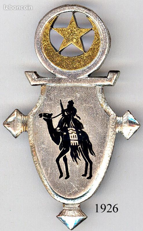 Insignes métalliques militaires - troupes au Sahara - Passion Insigne