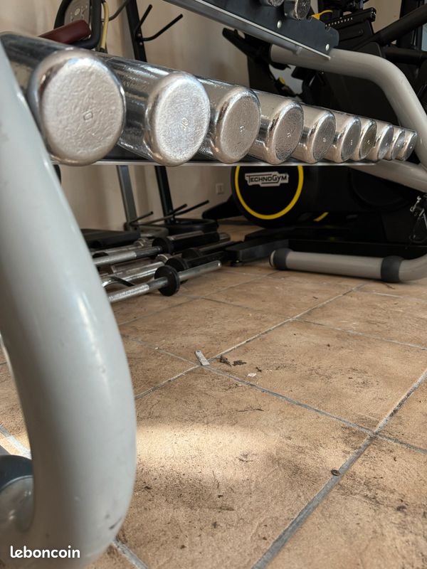 Chrome DUMBBELL RACK 10 PAIRES musculation Rack rangement d’haltères technogym (image 2)