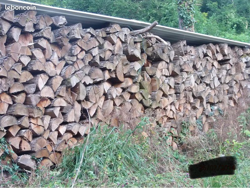 Bois de chauffage en 1 m pour hiver 2026/2027 (image 1)