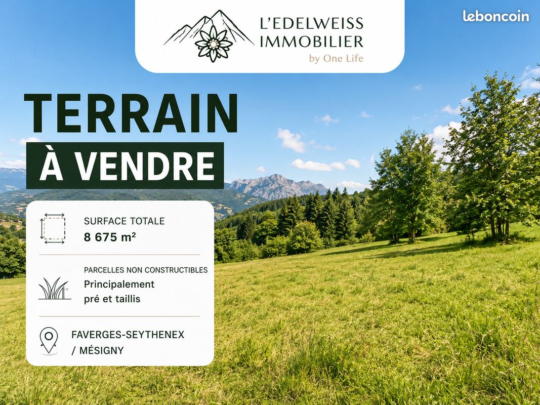 Terrain 8675 m² · à Faverges-Seythenex · 8 675 m² · 49 000 €
