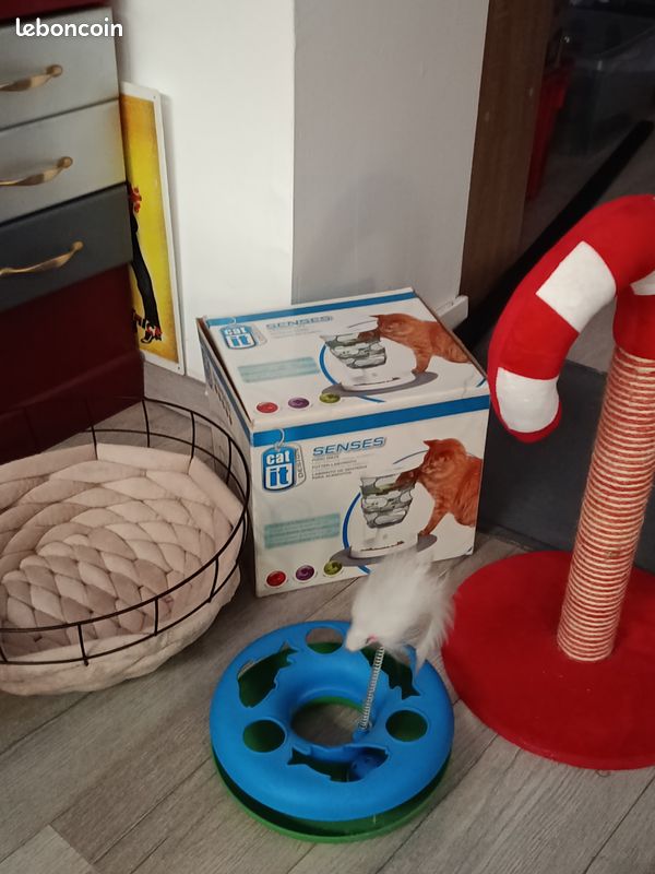 Ensemble jouet accesoire pour chat / chaton (image 1)