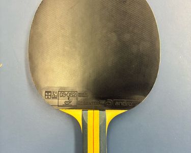 Raquette De Tennis De Table Dunlop Intersport Avec étui - Occasion