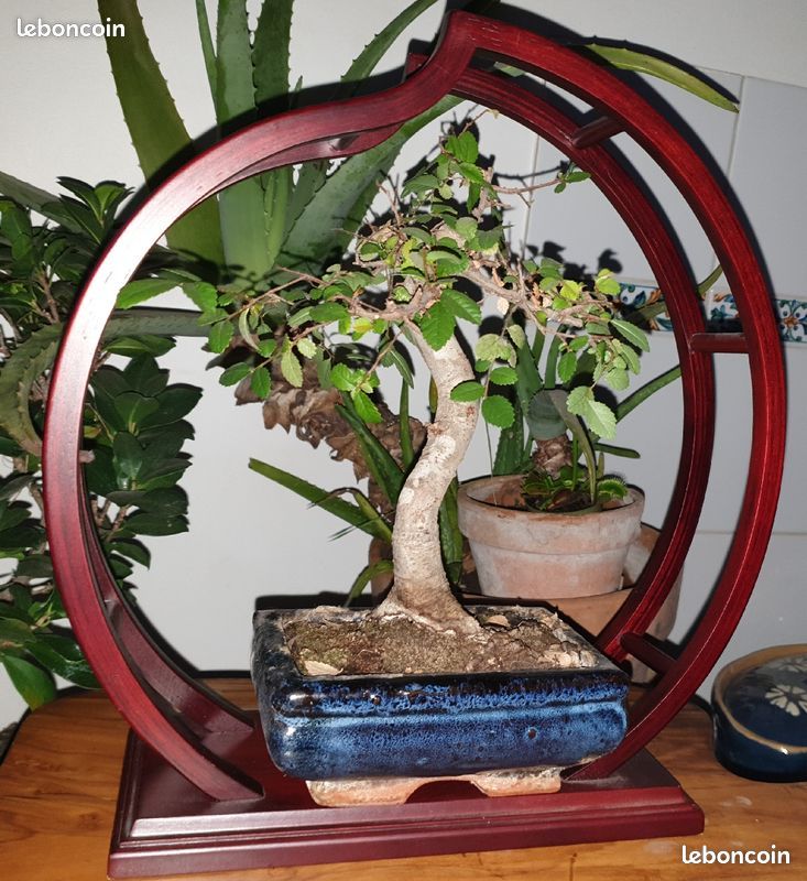 Support De Poteau Hydraulique Frein à Disque Arrière SRAM