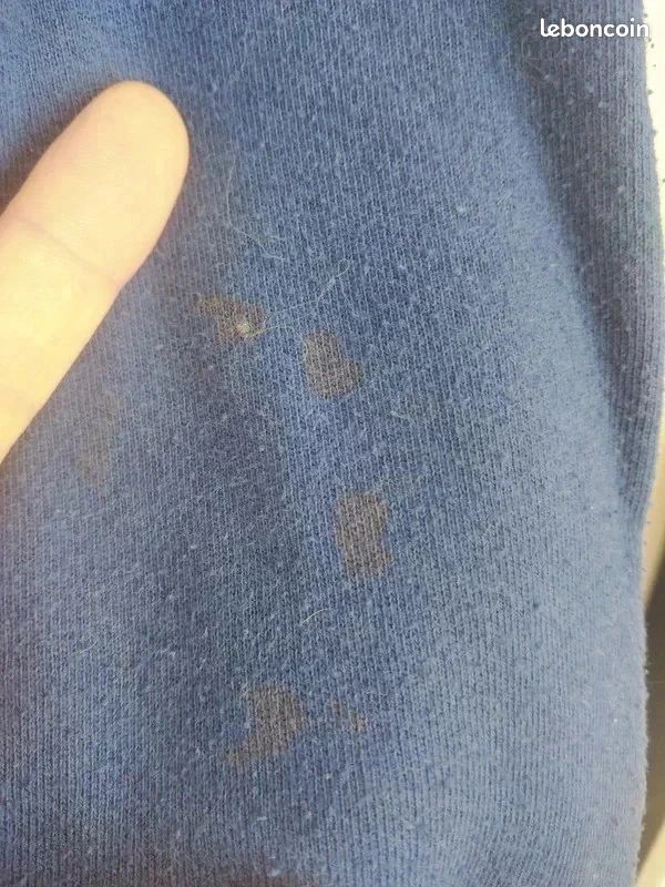 Plaid A Capuche Intégral Pour Adultes | Sweat Shirt Polaire Intégral