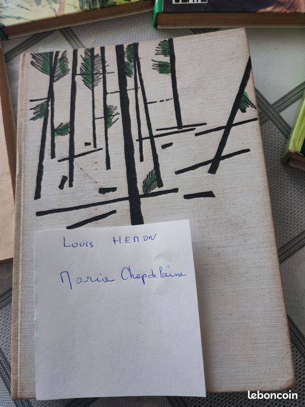 Lot de livres (11) enfants et adolescents (image 11)