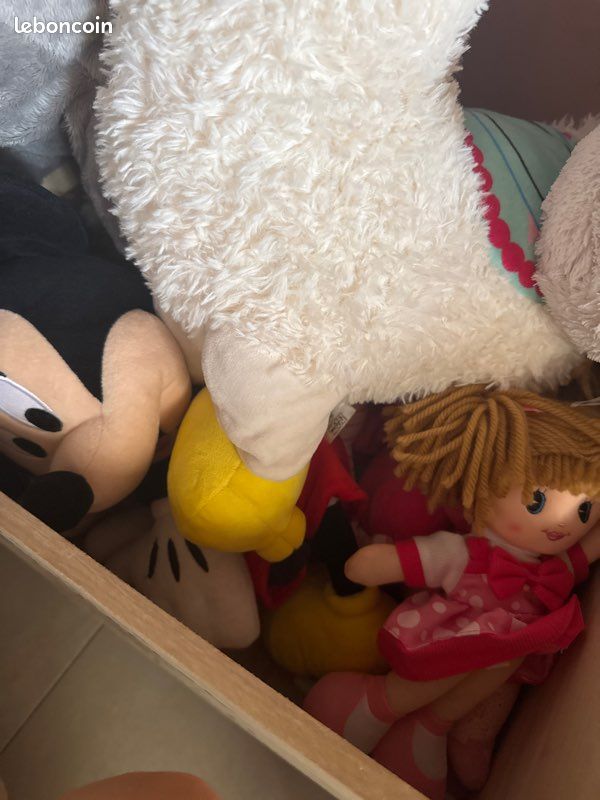 Caisse et peluche (image 2)